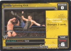 Spinning Kick